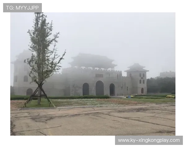 加的夫城门前封堵果断